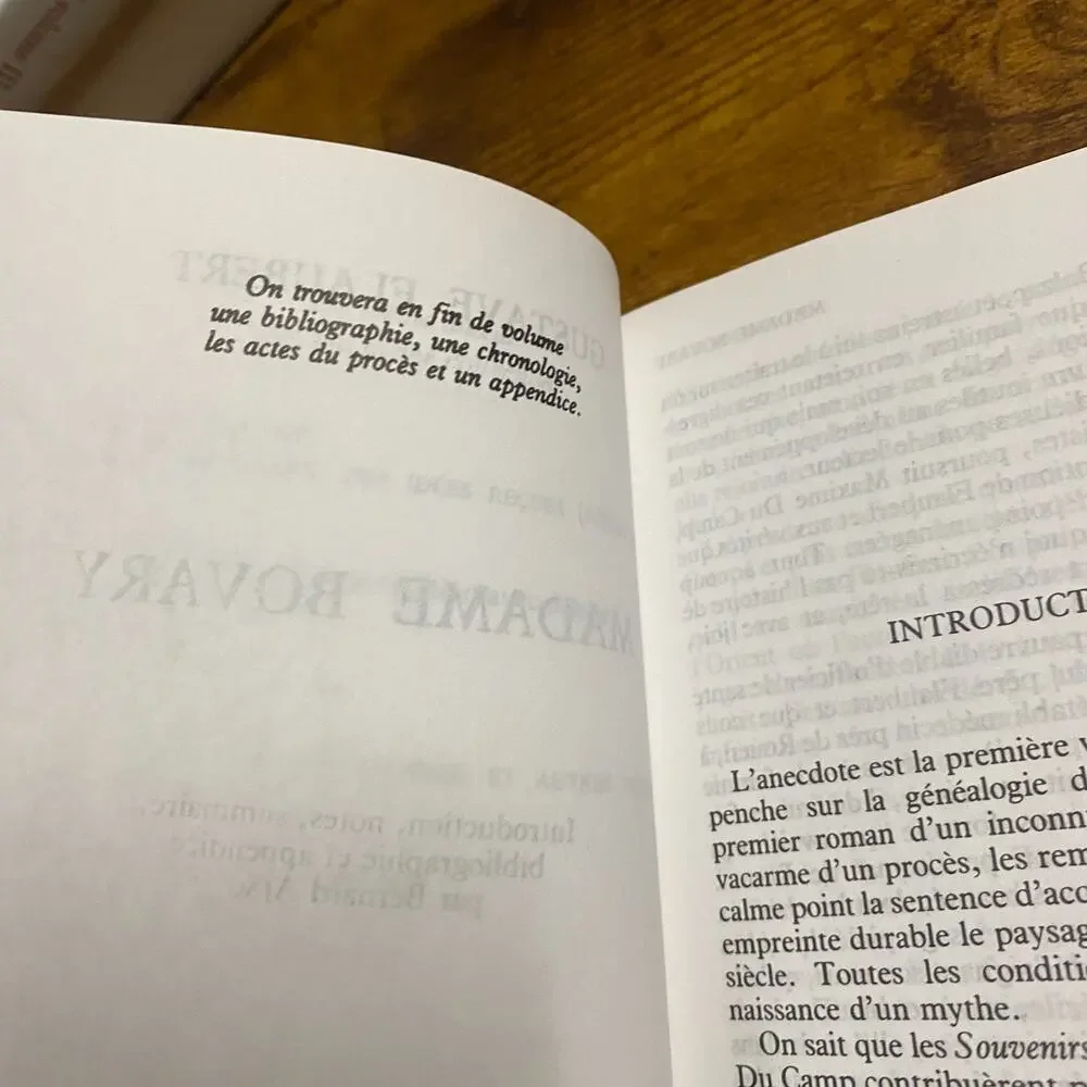 book madame bovary